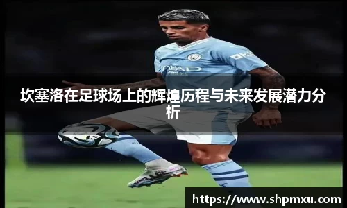 坎塞洛在足球场上的辉煌历程与未来发展潜力分析
