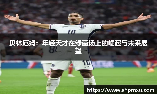 中欧体育网址