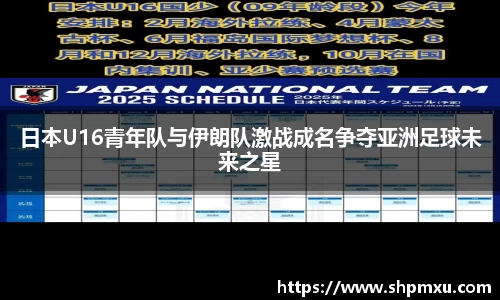 熊猫体育官网